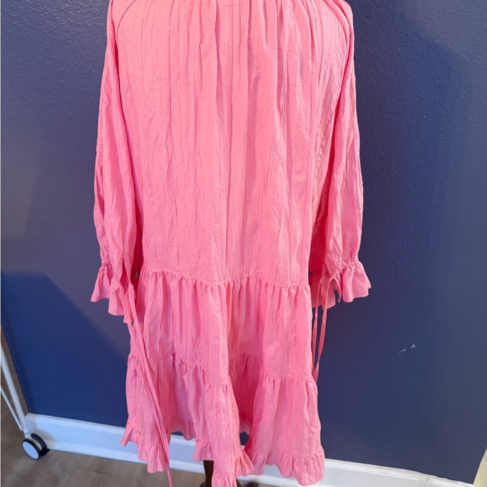 Pinch Pink Ruffled Dress - Picture 3 of 6